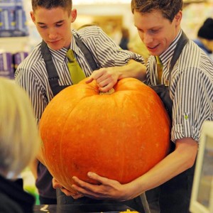 GIANT SUMO VS MUNCHKIN PUMPKINS: AND WHAT TO DO WITH THEM!
