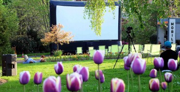 FILM MAKERS WANTED FOR EXETER PHOENIX 48-HOUR FILM CHALLENGE
