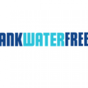 BRISTOL-BASED FRANK WATER SEEKS FESTIVAL VOLUNTEERS